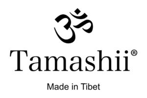 Fichtinger_tamashi Logo Tamashii